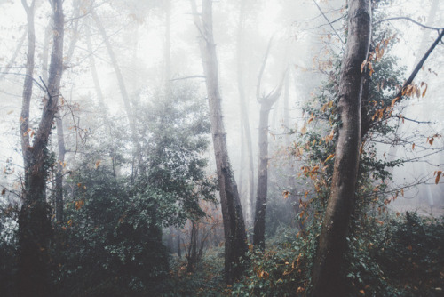 { deliciously spooky }