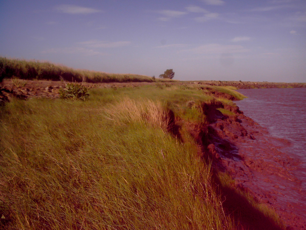 cheekyskunk:  Tantramar Marsh, August 2018