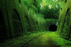 mytraveldestinations:  Abandoned railroad tunnel, France 