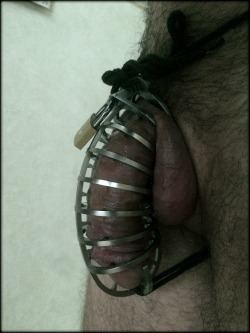 HEAVY MALE CHASTITY