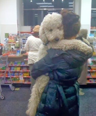 They might be big but they still enjoy a cuddle :)