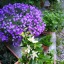 grand-joyful-thing-blog