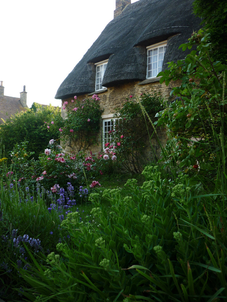 englishcottagedreams:  Lowick  (by Sunchild57 Photography.)