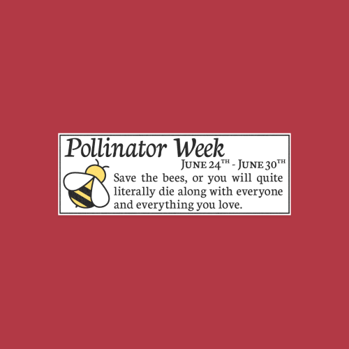 Saving The Bees Is The Bee's Knees!