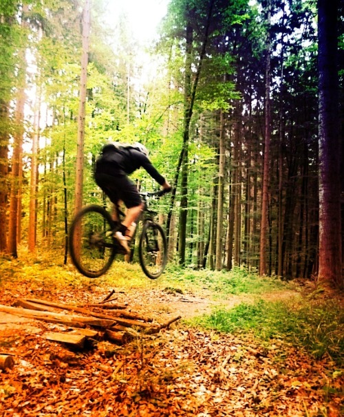 2wheels1906: Högl
