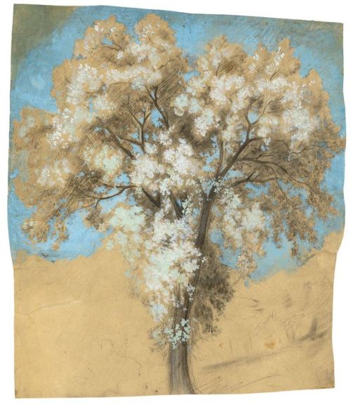 amare-habeo:Bernhard Fries (German, 1820 – 1879)Study of blossoming tree with a blue sky, N/DGouache