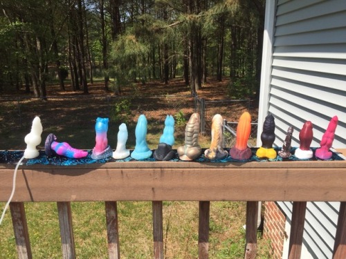 sinnabons-dick-shelf: Went outside to take some new group photos of my collection! Except for green,