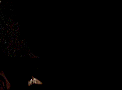 c551ca994b6dc22ecffc27c0398dccf0f62b7c8b.gifv