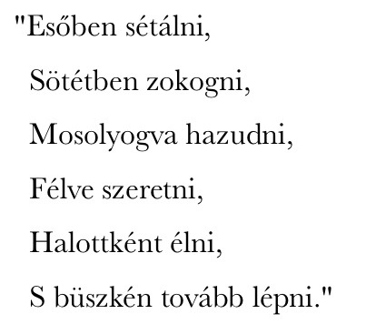 Lépcső közé szorult világ