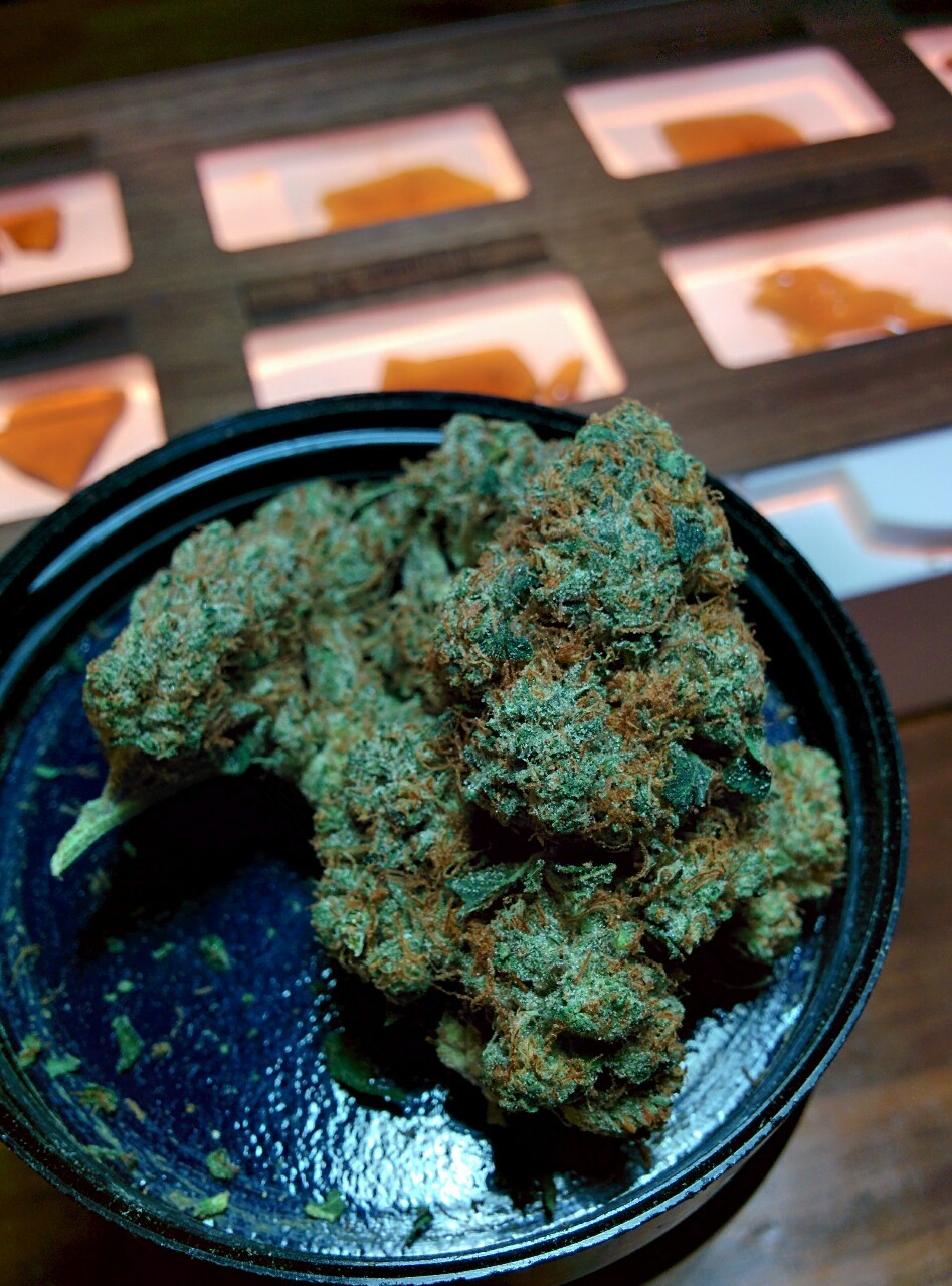 boldercannabis:  Skywalker600 a cannabis cup winner in 2013 at the Greenest Green.
