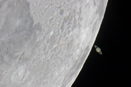 n-a-s-a: The Moon’s Saturn Image Credit &amp; Copyright: Jens Hackmann