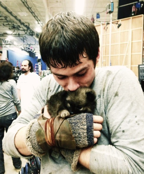 {CUTENESS WARNING}