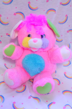 dreammedarling:popples! 