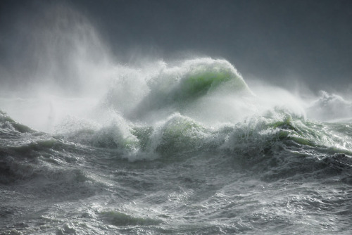 itscolossal:Mythical Creatures and Greek Gods Leap From Waves Captured off the South Coast of Englan