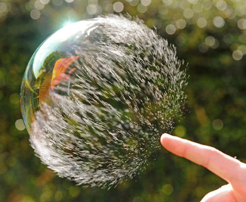 daily-meme:  Bursting Bubble.http://daily-meme.tumblr.com/