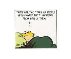 nevver:  Calvin and Hobbes 