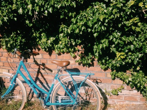 flowuriest:  my friend’s bike is gorgeous. i want it!! 