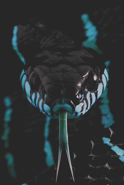  |urbn     lxr| |more here| 