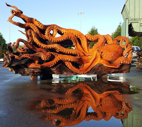 blondebrainpower: Artist Uses a Chainsaw to Transform a Fallen Redwood Tree Into a Stunning Giant Pacific Octopus  Talented artisan Jeffrey Michael Samudosky of JMS Wood Sculpture in Gig Harbor, Washington has created an absolutely stunning giant pacific