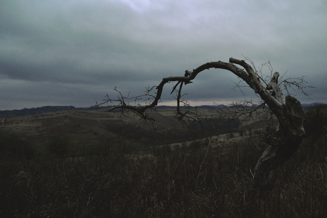 morrioghainworld:©Laura Petresc ~ Mór-ríoghain 