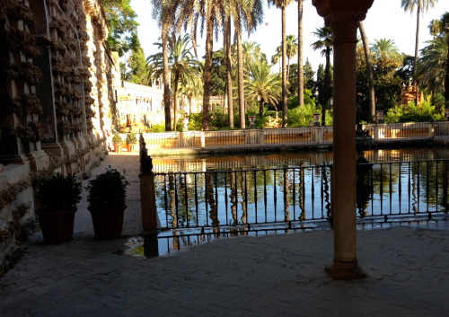 Inside the gardens of Alcazar - Seville, Spain