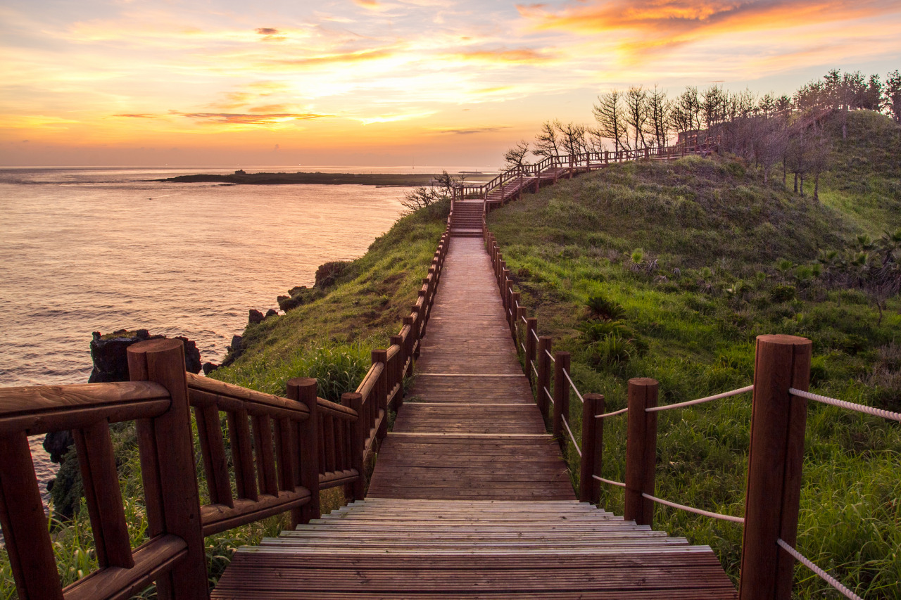 Jeju sex park korea