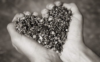 justbeingnamaste:  To see the world in a grain of sandand Heaven in a wildflower,hold infinity in the palm of your hand and eternity in an hour. 