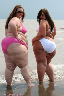 ssbbwfanatic:  likefat1:  Big beach babes