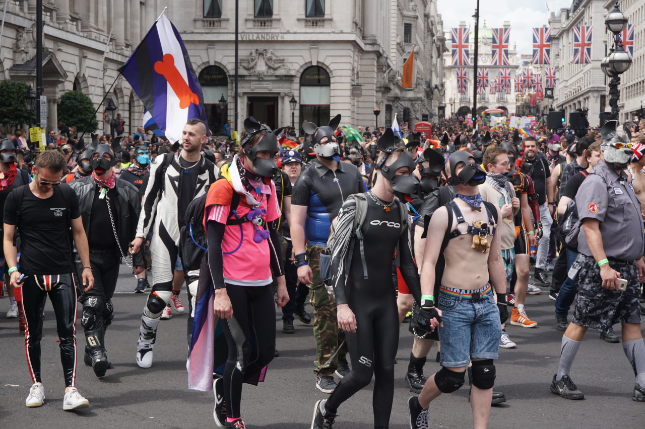 puppyprideuk:  Photo from Pride in London 2016  Copyright to Eric Harding https://www.flickr.com/photos/eric_harding/