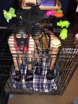 uptopuppystuff:  We’ve been trapped by another puppy!  