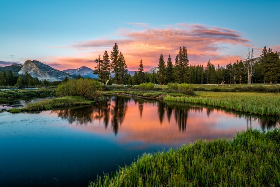 brilliantcreation:  Afternoon Glow II by goldone