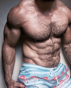 beardburnme:  pedrao_gyn Instagram