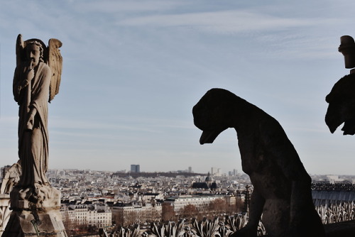 auntzeldas: Some more pictures I took of Notre Dame’s facade and the views from the rooft