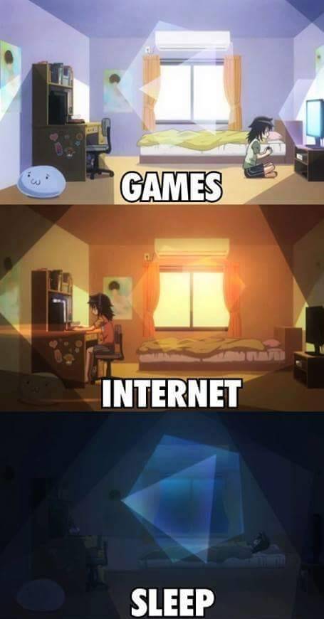 fuckenducks:  This picture shows my day to day life