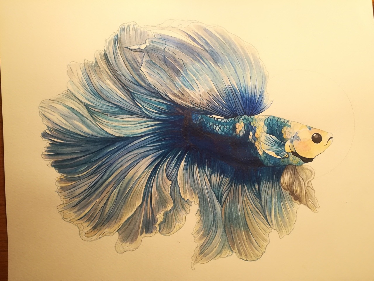 chewybitart:for Elias Buster Fox Thomas Swim in piece pretty little guy. Thank you