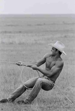 bedesm:  *whimper*Cowboys…  well howdy