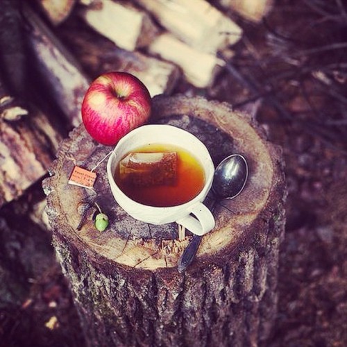 #fall #tea #autumn #apple #timeforme #timeforrelax #autumninlove @eatfashiondrinkchampagne #follow #