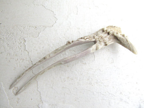 Antler Hair Pin by JCMcCairn I’d like to believe this is what the queen really stabbed her wit