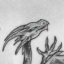 dragonwlw
