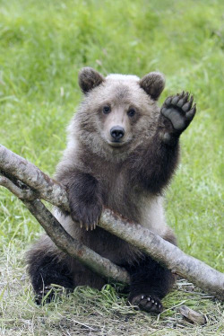 fridaybear:  Hey, it’s Friday.You have