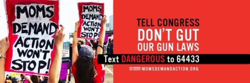 Don’t gut our gun laws! Contact your representatives.