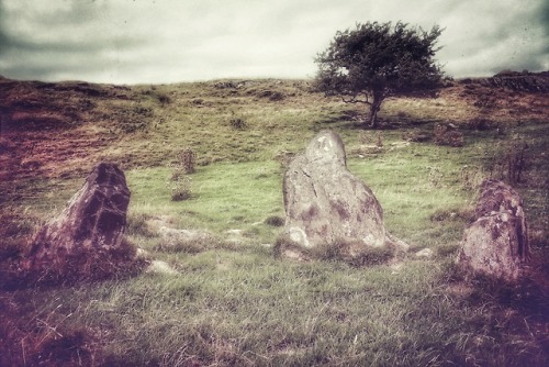 Unnamed Stone Circle, Rhinogau, North Wales, 1.8.18.One of the most beautiful and serene prehistoric