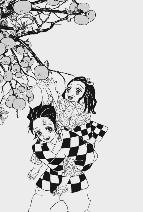 shira-san-ni:Tanjirou &amp; Nezuko for @lssr
