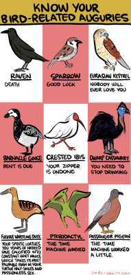 smbc-comics: Know Your Bird-Related Auguries