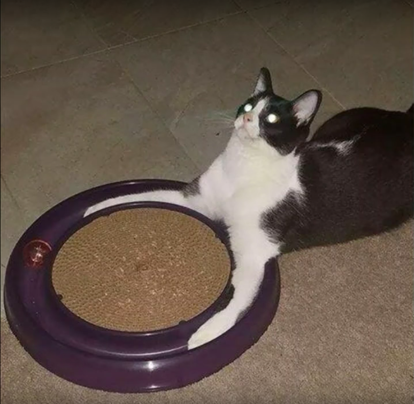 picsthatmakeyougohmm: hmmm