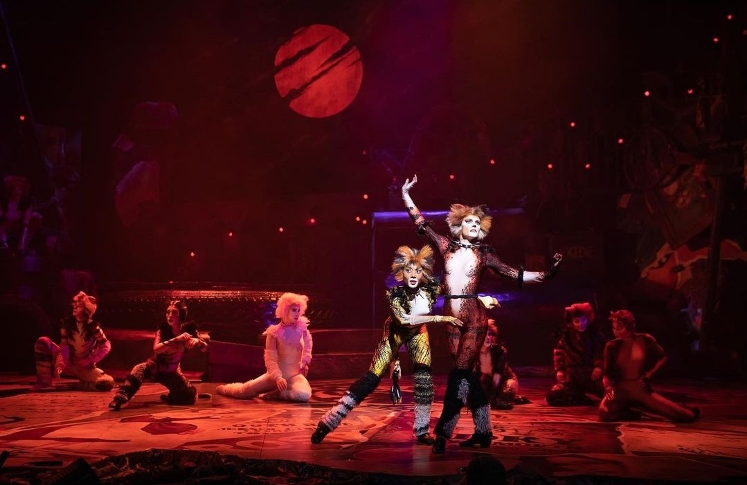 Cats the Musical • North American Tour • Official Website & Tickets