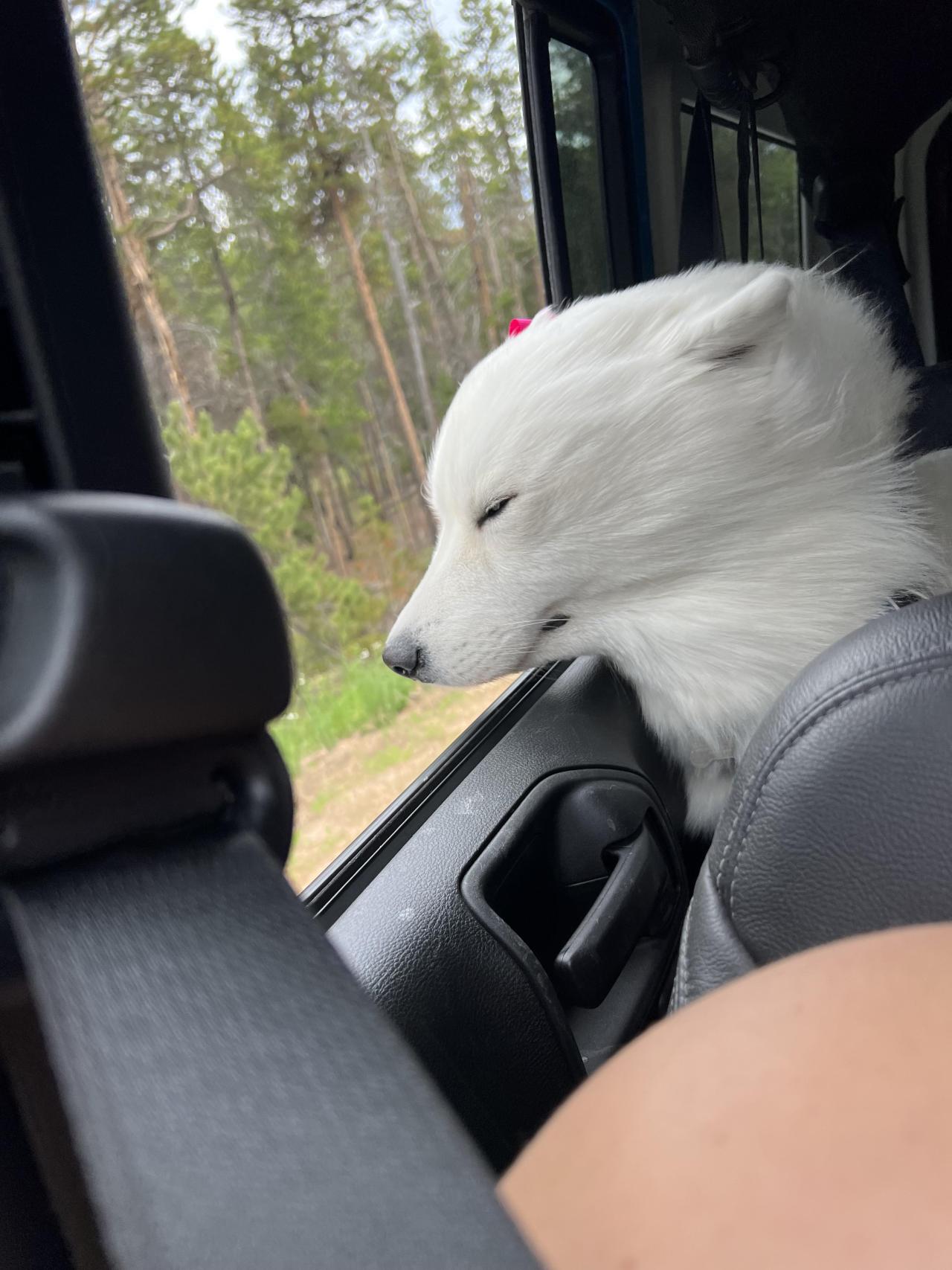 The wind was a little strong on our road trip.