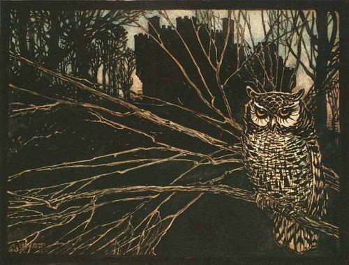 thefaeryhost:Arthur Rackham  __  Jorinda as Owl