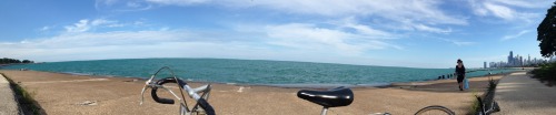 0v-rdose:
“ Lovely day
Fullerton beach, Chicago
”