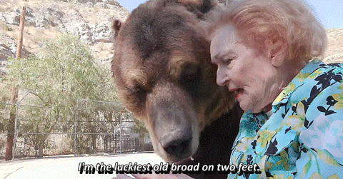iwt-v:  Betty White and a bear stop what you’re doing and reblog Betty White: First Lady of Television (Netflix)